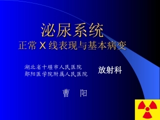泌尿正常X线表现与基本病变