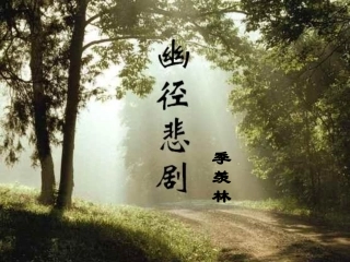 《幽径悲剧》公开课