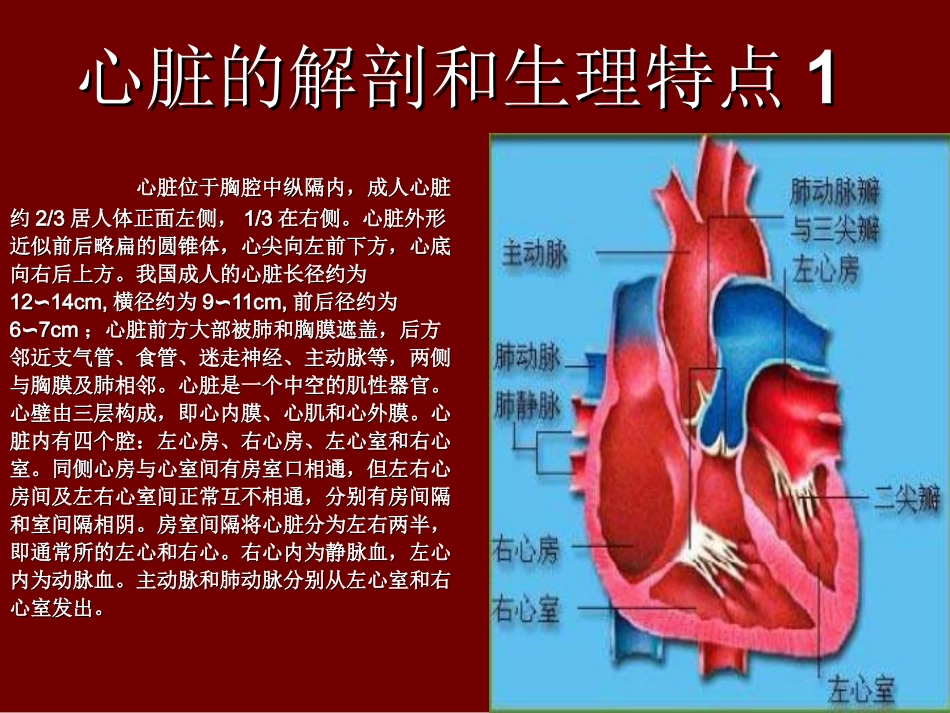 超声心动图入门基础_第2页