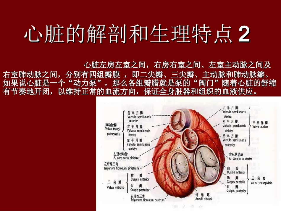 超声心动图入门基础_第3页