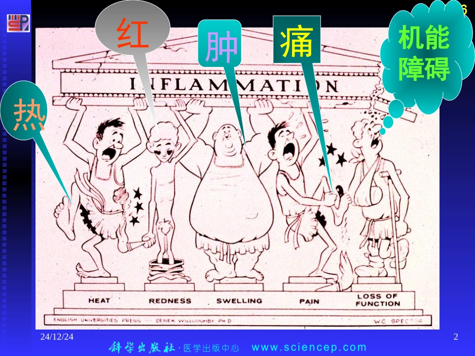 第4章 炎症_第2页