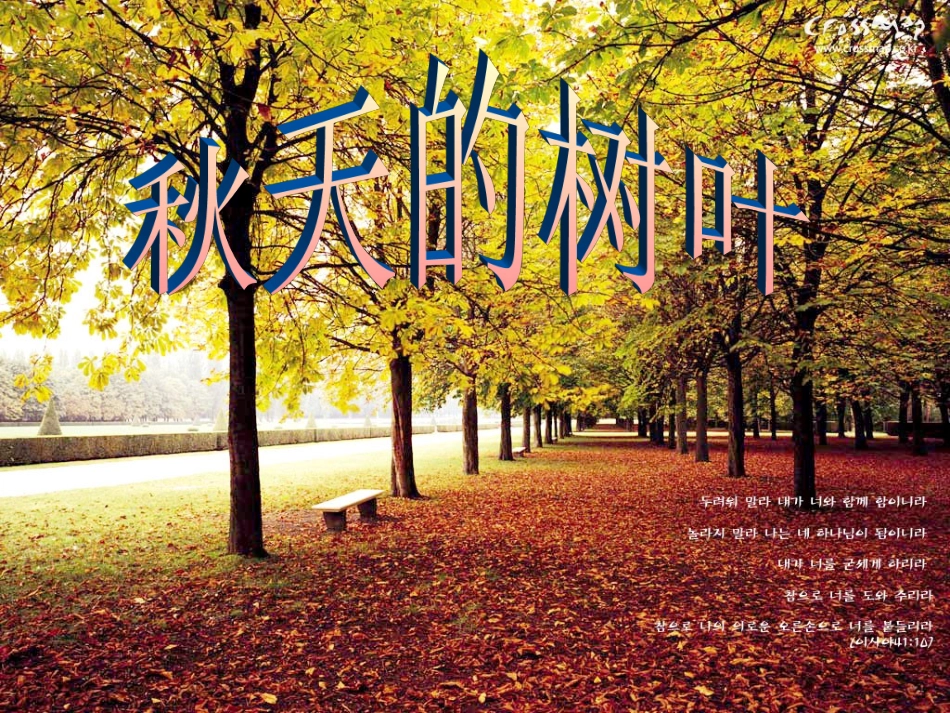 习作3秋天的树叶_第1页