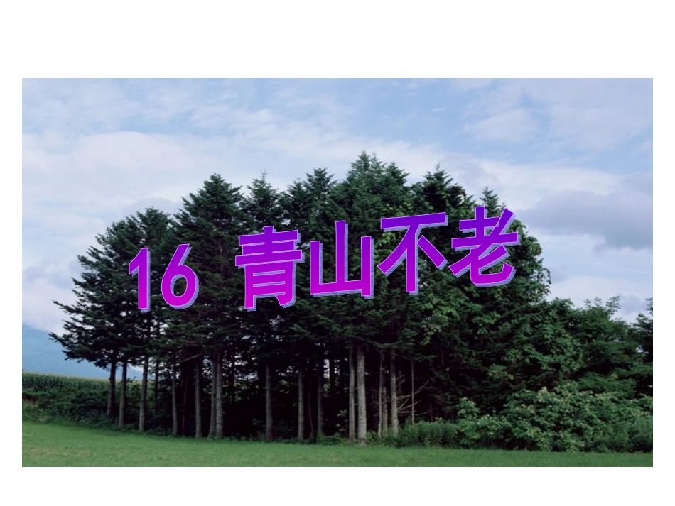 《青山不老》课件之四_第1页