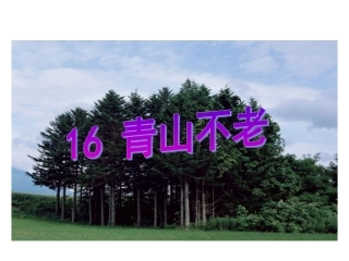 《青山不老》课件之四