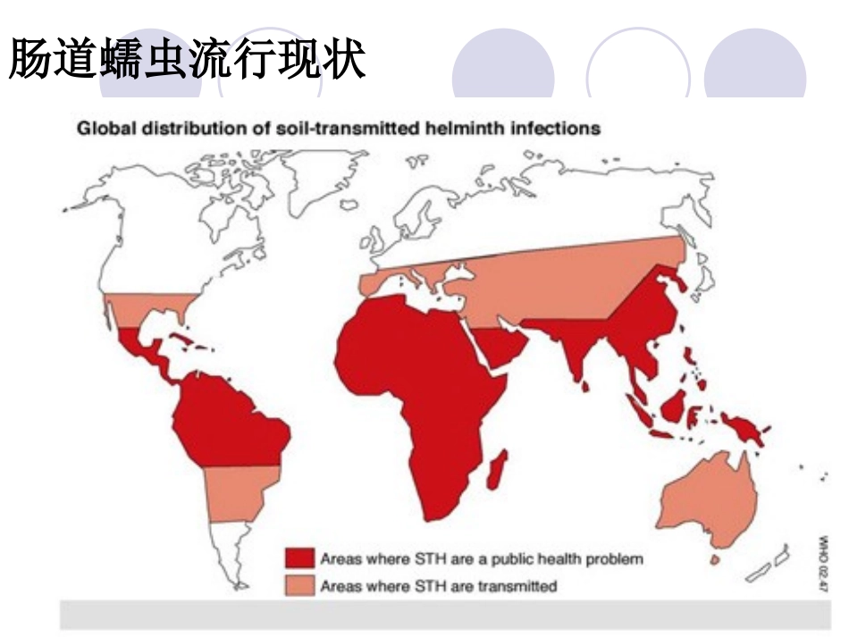 土源性线虫病_第2页