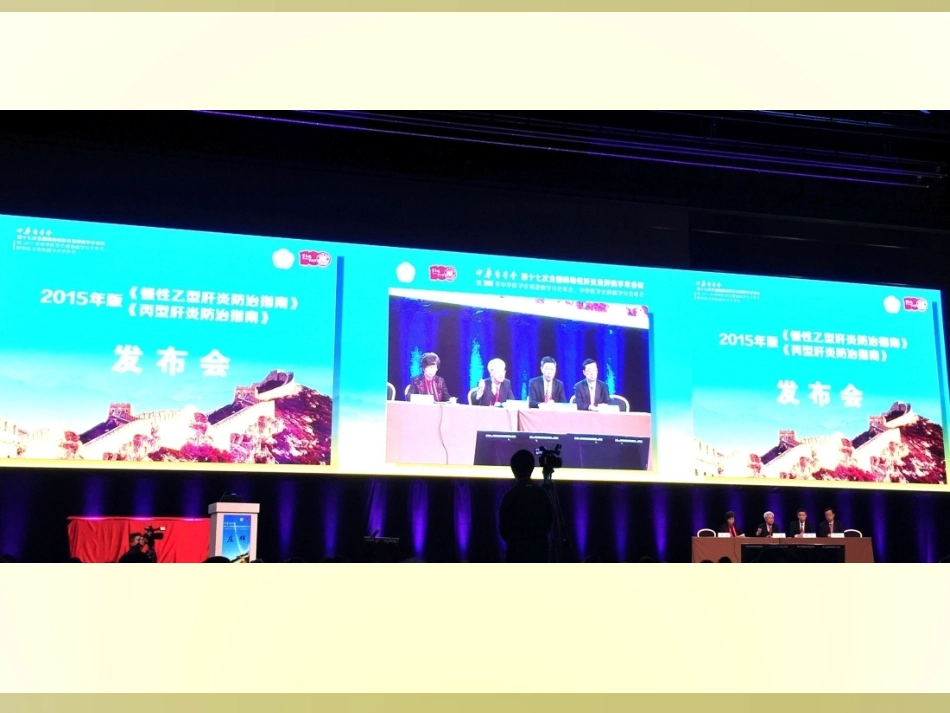 乙肝指南2015(12.12下午)_第3页