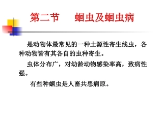 第二节   蛔虫及蛔虫病