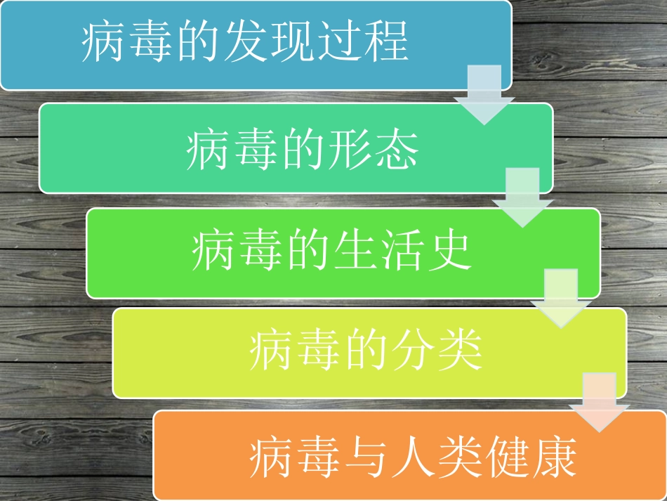 《病毒》课件1_第2页