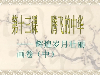 辉煌岁月壮丽画卷