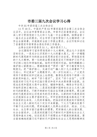市委三届九次会议学习心得