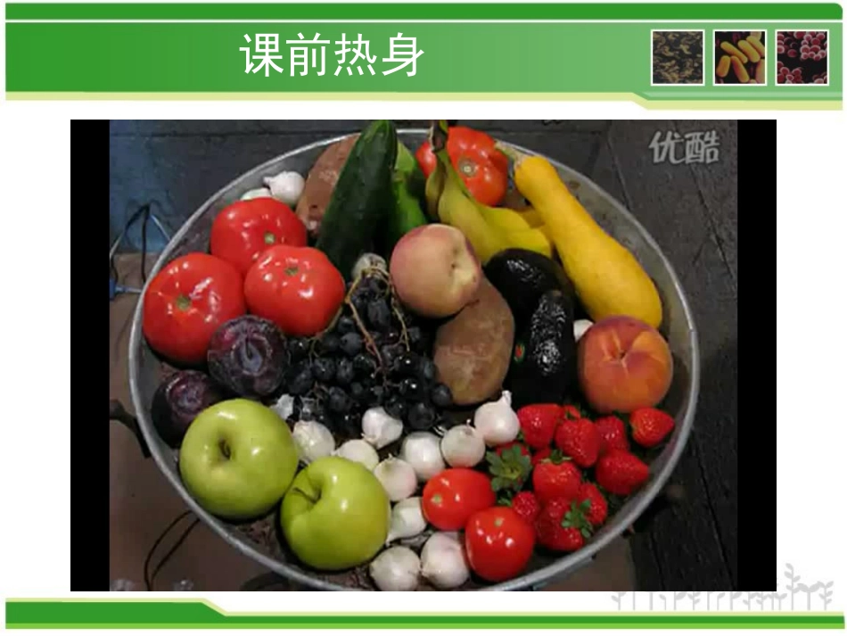 细菌和真菌在自然界中的作用_第3页