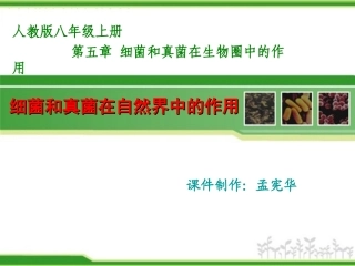 细菌和真菌在自然界中的作用