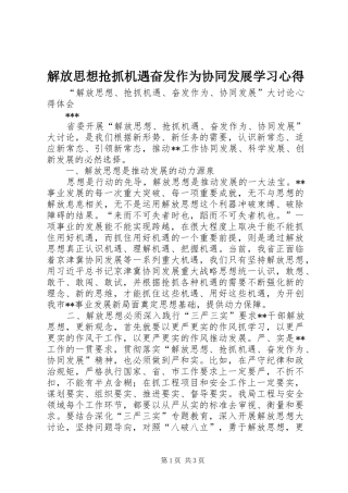 解放思想抢抓机遇奋发作为协同发展学习心得