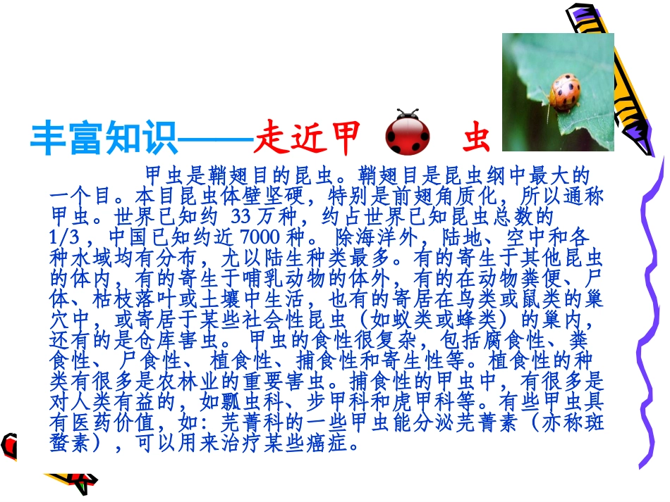 草虫的村落课件 (2)_第3页