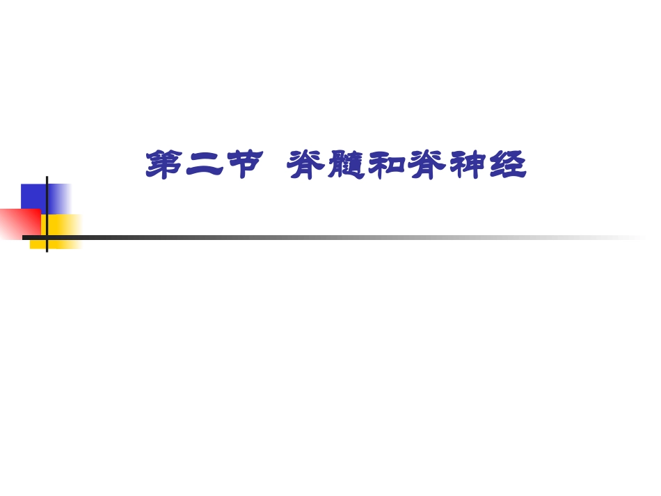 脊髓和脊神经_第1页