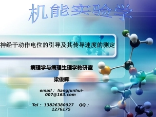 神经干动作电位的引导及其传导速度的测定