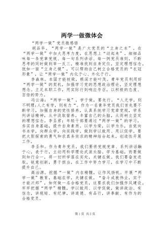 两学一做微体会