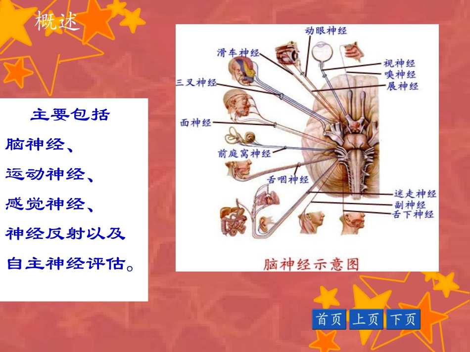 第十节 神经系统检查_第3页