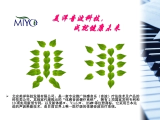 体感音乐健疗系统——北京美洋体感音乐