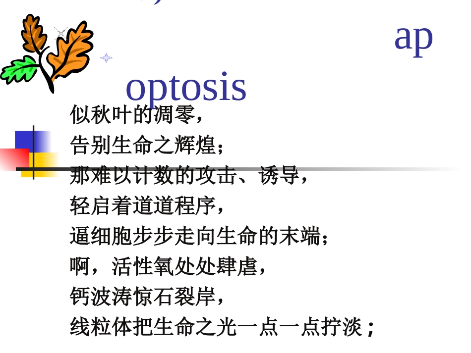 细胞凋亡及机制检测_第1页