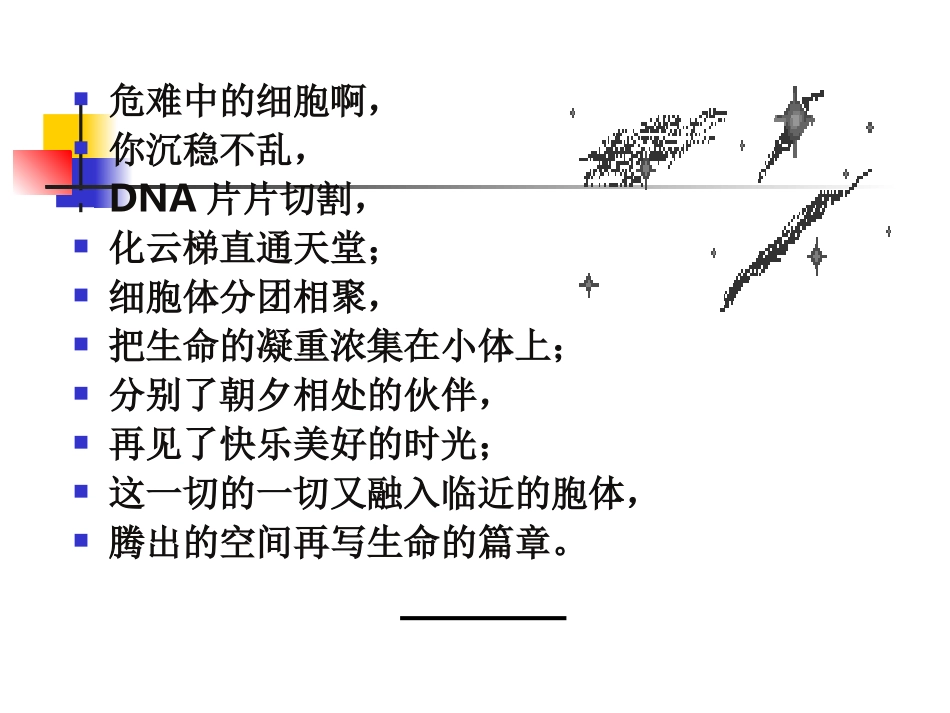 细胞凋亡及机制检测_第2页