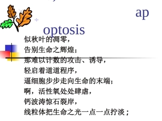 细胞凋亡及机制检测