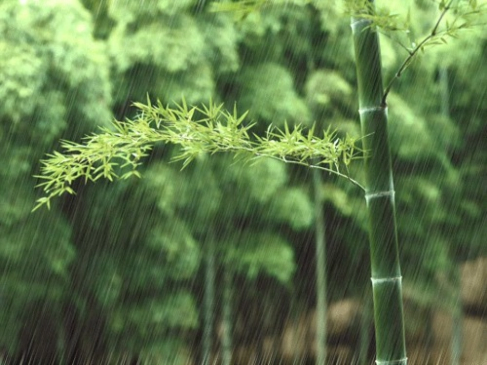 郑愁予《雨说》_第2页