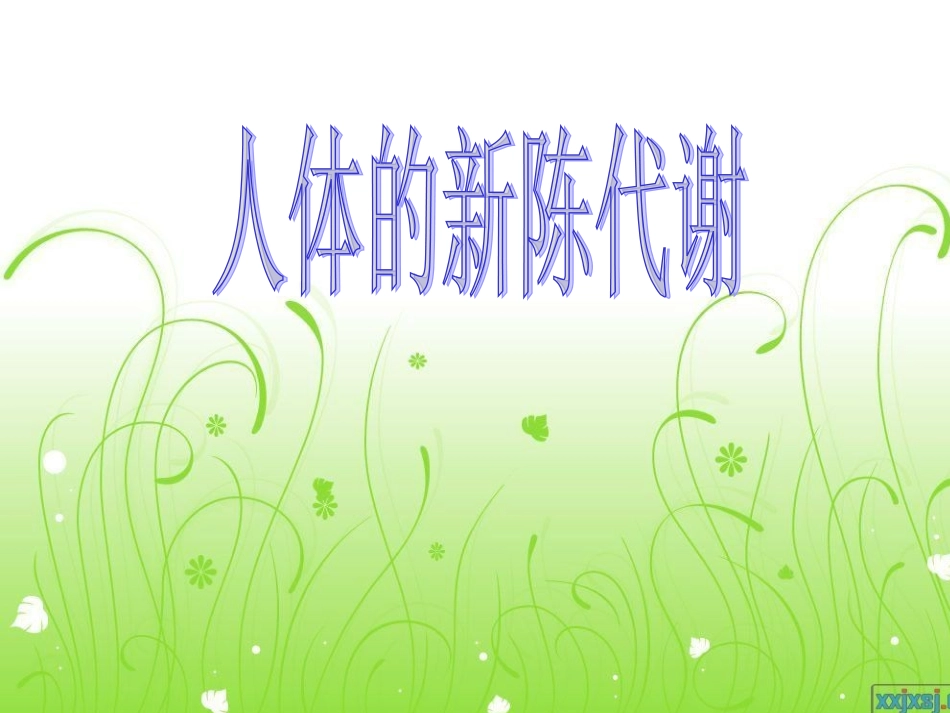 人体的新陈代谢---连华_第1页