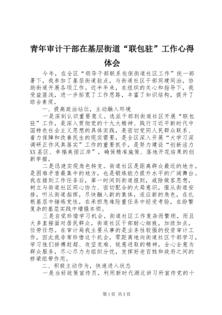 青年审计干部在基层街道“联包驻”工作心得体会