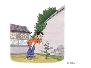 一次有趣的观察