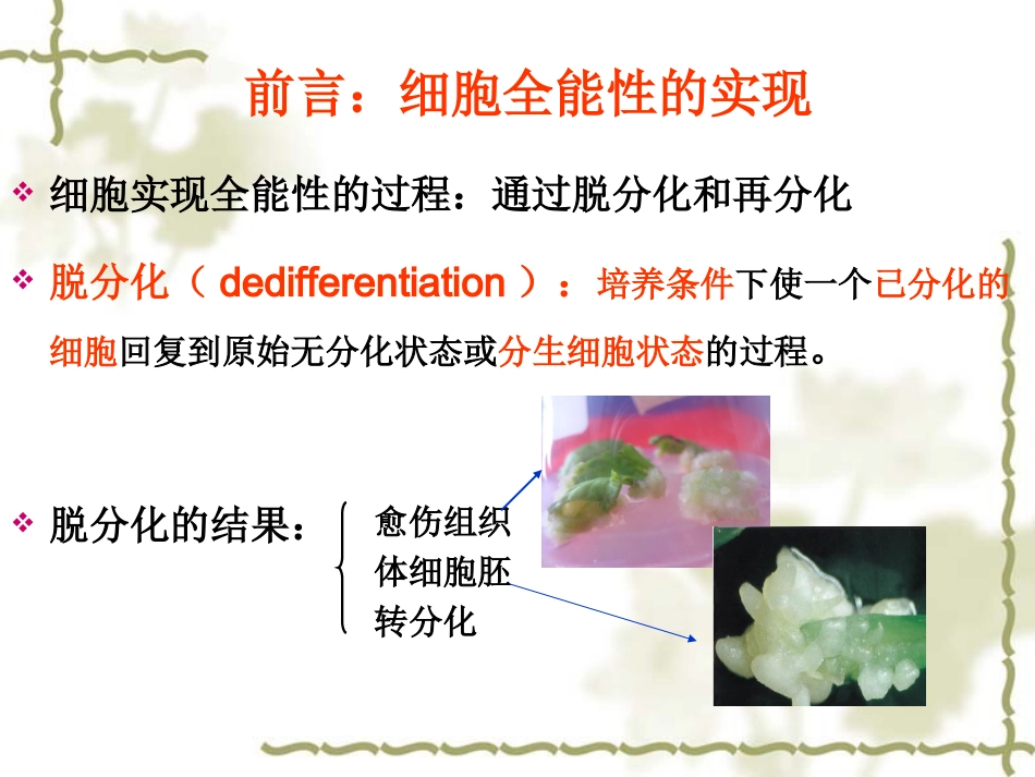 第三章 第二节 器官发生_第2页
