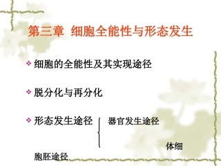 第三章 第二节 器官发生