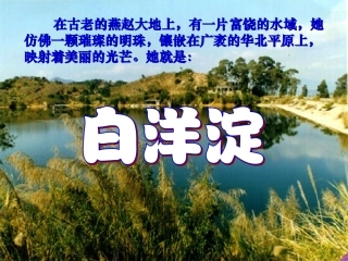 八年级语文上册《芦花荡》课件