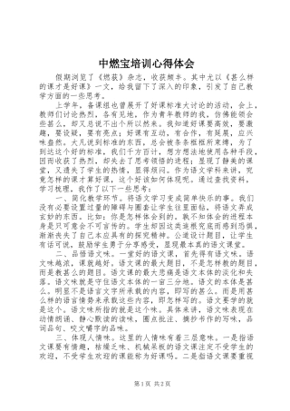 中燃宝培训心得体会