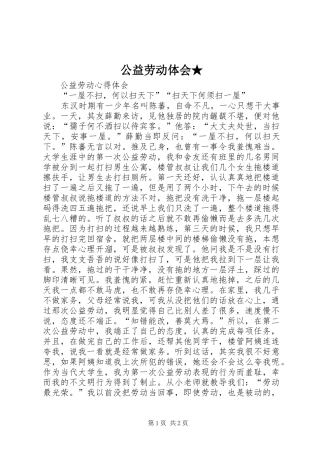 公益劳动体会★