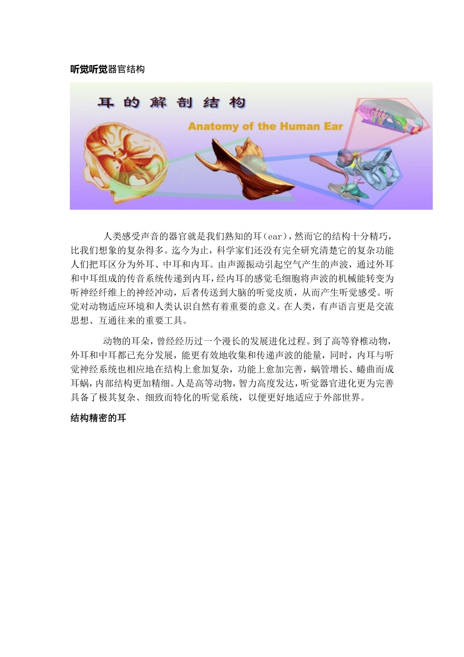 听觉-听觉器官结构_第1页