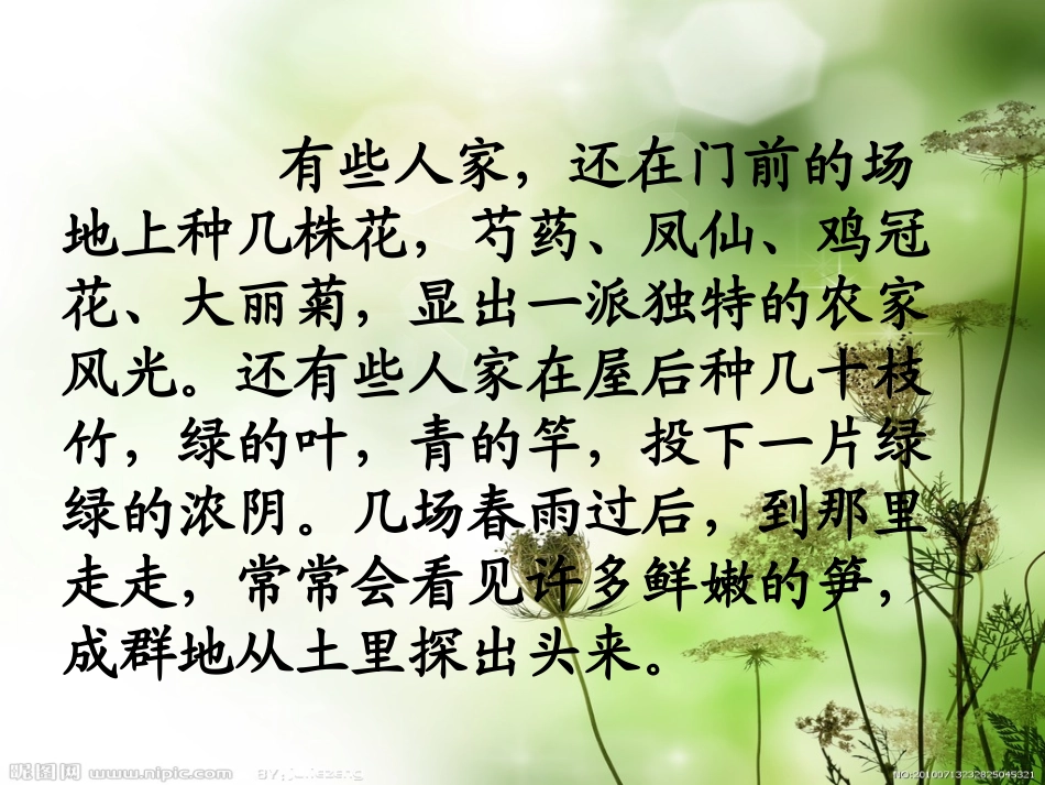 周卫21乡下人家_第3页