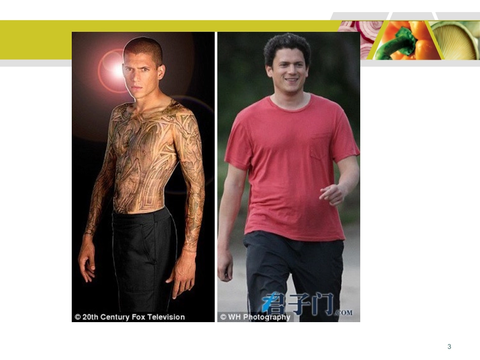 食品营养学第2章--能量代谢与平衡_第3页