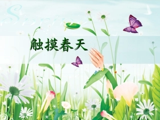 触摸春天 (2)