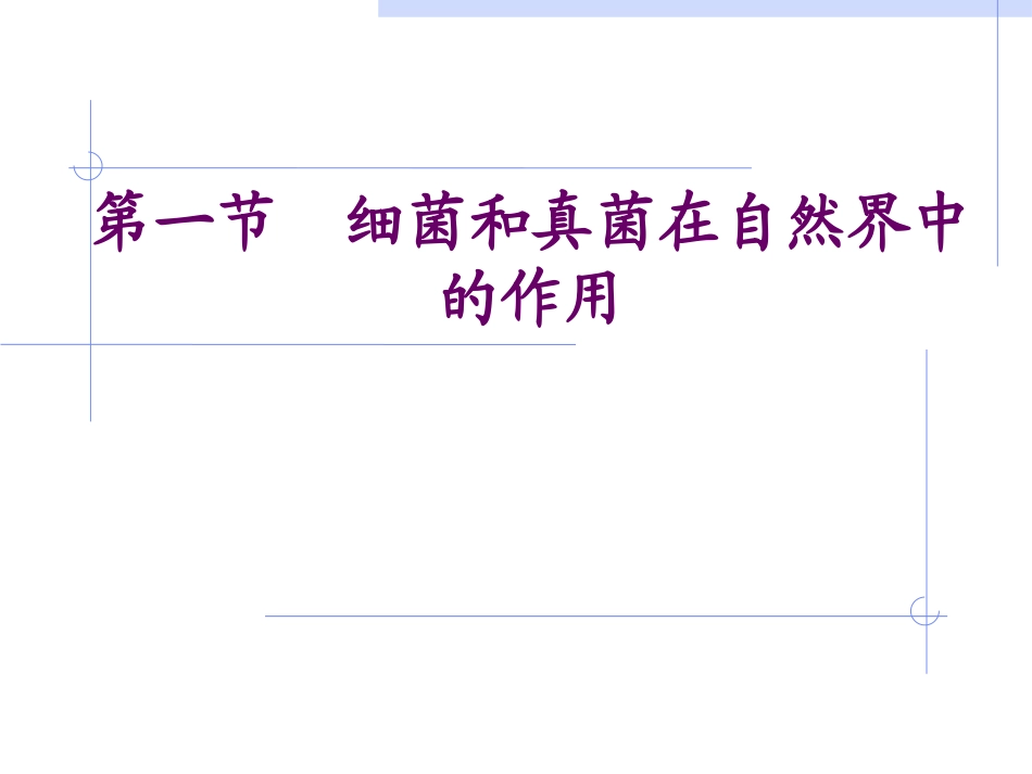 细菌和真菌在自然界中的作用_第1页