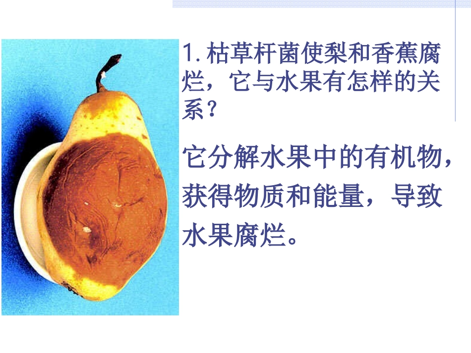 细菌和真菌在自然界中的作用_第2页