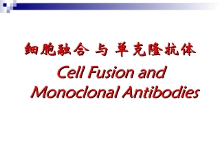 细胞融合-与-单克隆抗体