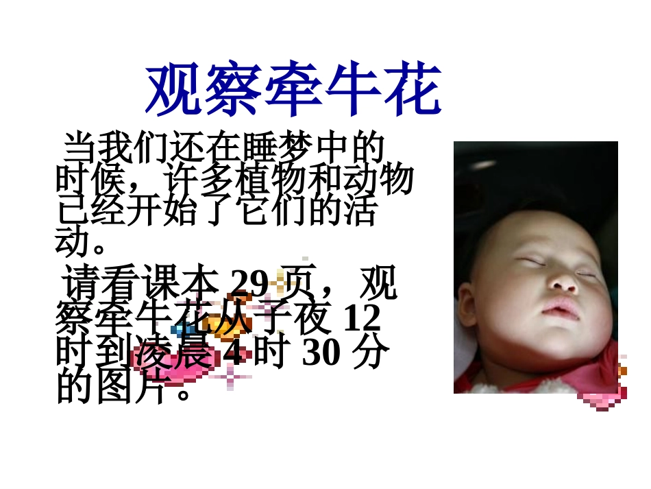 鄂教版科学六上《一天中的动植物》课件Z_第3页