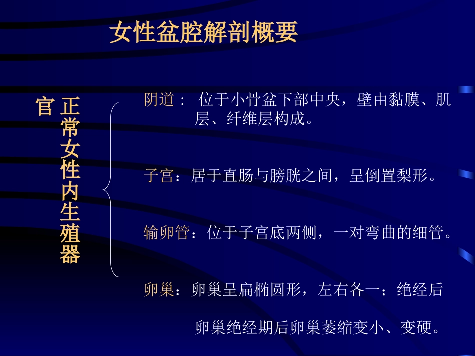 妇科超声检查_第2页