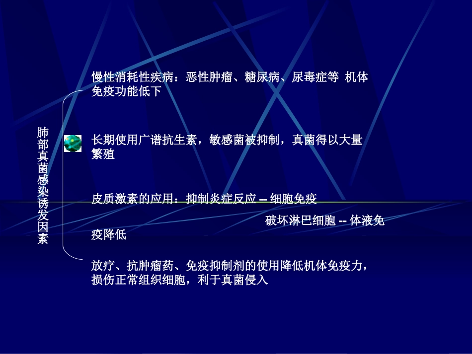 深部真菌感染影像鉴别_第2页