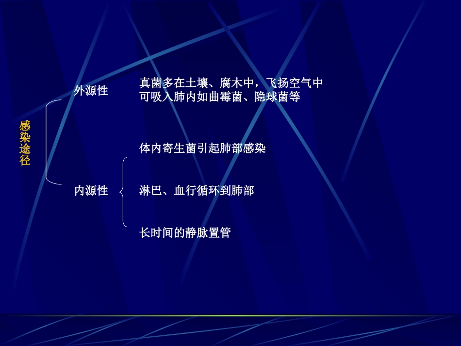 深部真菌感染影像鉴别_第3页