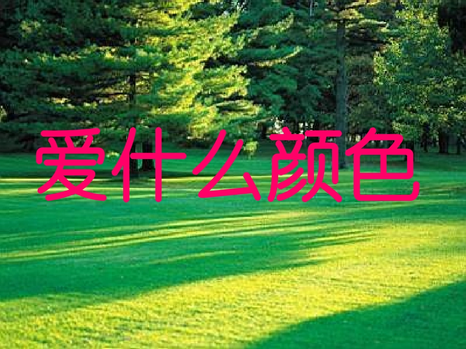 《爱什么颜色》课件_第1页