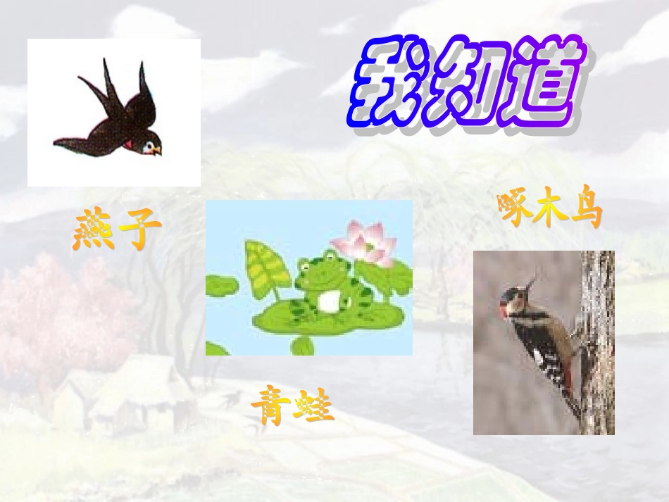 保护有益的动物_第1页