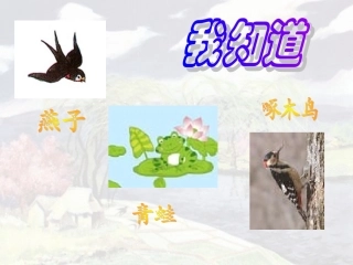 保护有益的动物