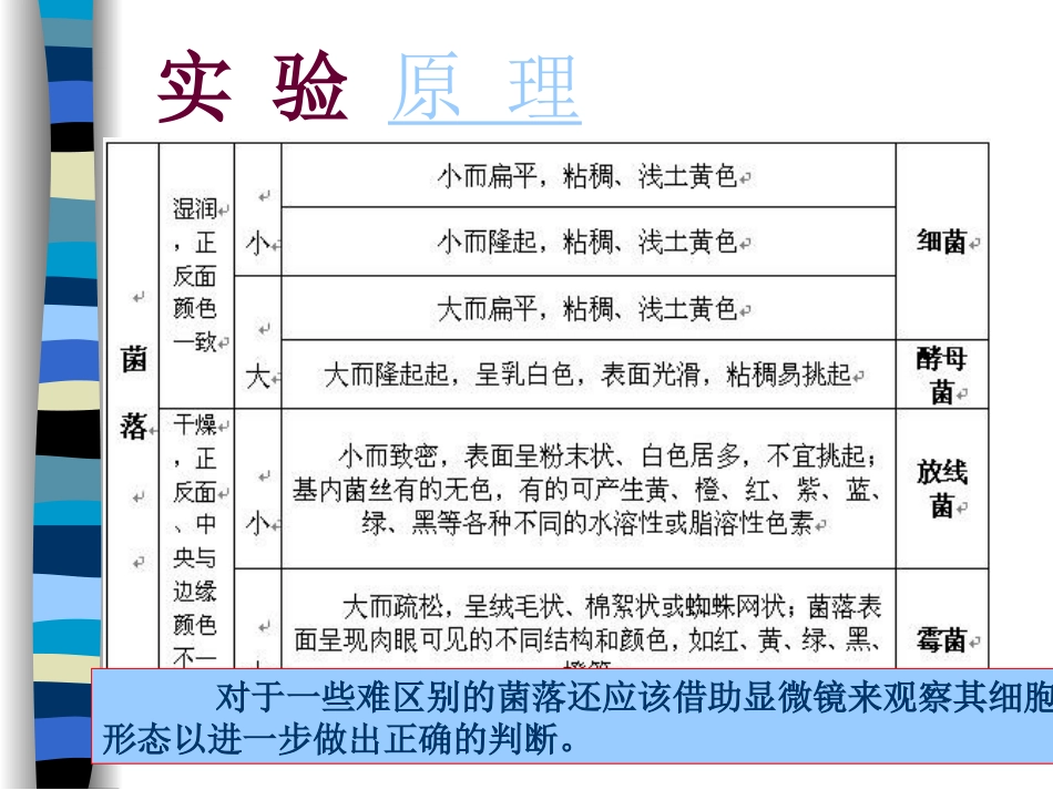 实验4 微生物菌落的观察_第3页